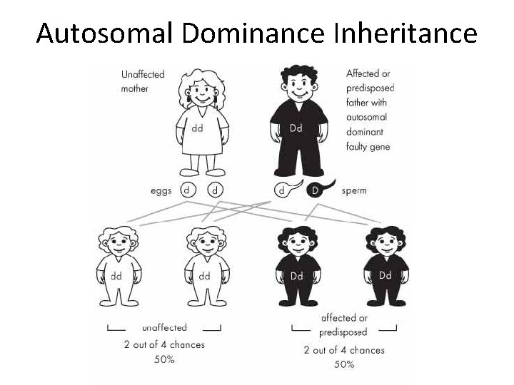 Autosomal Dominance Inheritance Autosomal Dominance Inheritance