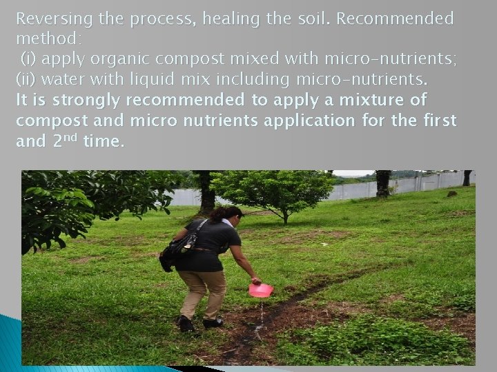 Reversing the process, healing the soil. Recommended method: (i) apply organic compost mixed with