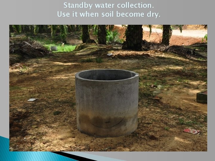 Standby water collection. Use it when soil become dry. 