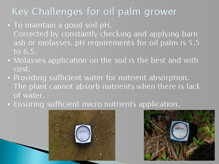 Key Challenges for oil palm grower • To maintain a good soil p. H.