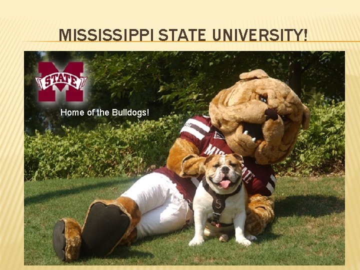 MISSISSIPPI STATE UNIVERSITY! Home of the Bulldogs! 