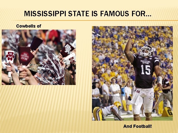 MISSISSIPPI STATE IS FAMOUS FOR… Cowbells of course! And Football! 