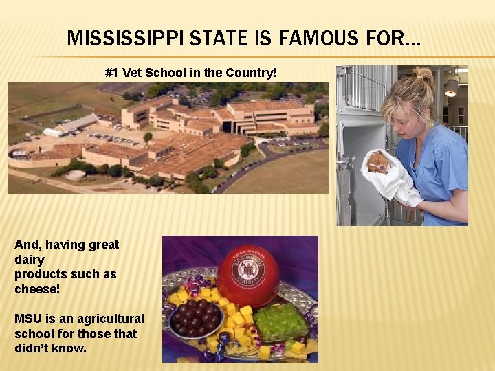 MISSISSIPPI STATE IS FAMOUS FOR… #1 Vet School in the Country! And, having great