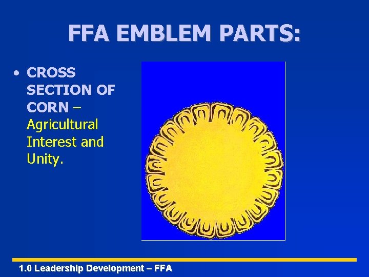 FFA EMBLEM PARTS: • CROSS SECTION OF CORN – Agricultural Interest and Unity. 1.