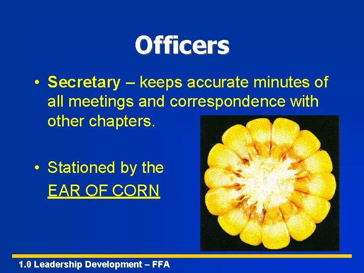 Officers • Secretary – keeps accurate minutes of all meetings and correspondence with other