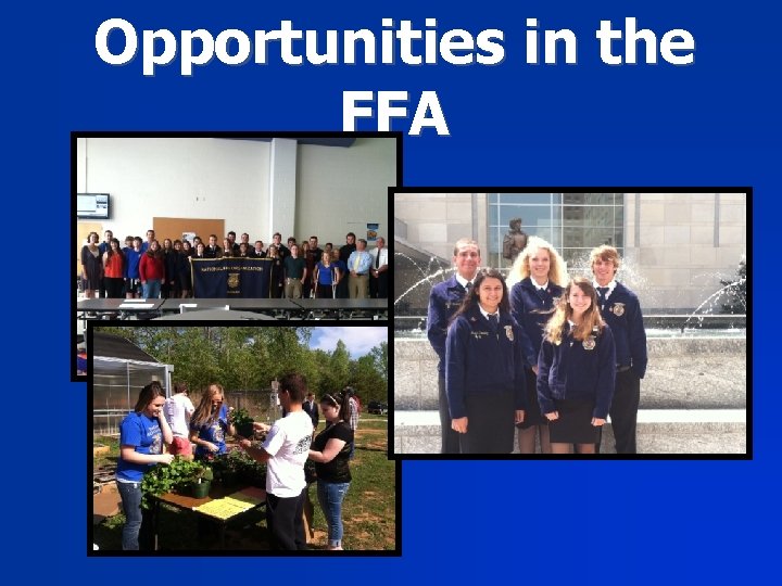 Opportunities in the FFA 
