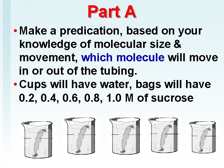 Part A • Make a predication, based on your knowledge of molecular size &