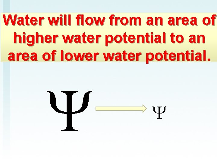 Water will flow from an area of higher water potential to an area of