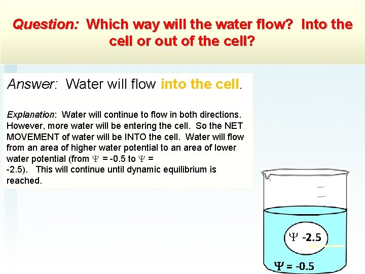 Question: Which way will the water flow? Into the cell or out of the