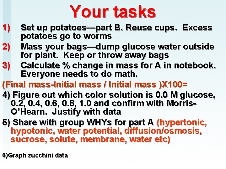 Your tasks 1) Set up potatoes—part B. Reuse cups. Excess potatoes go to worms