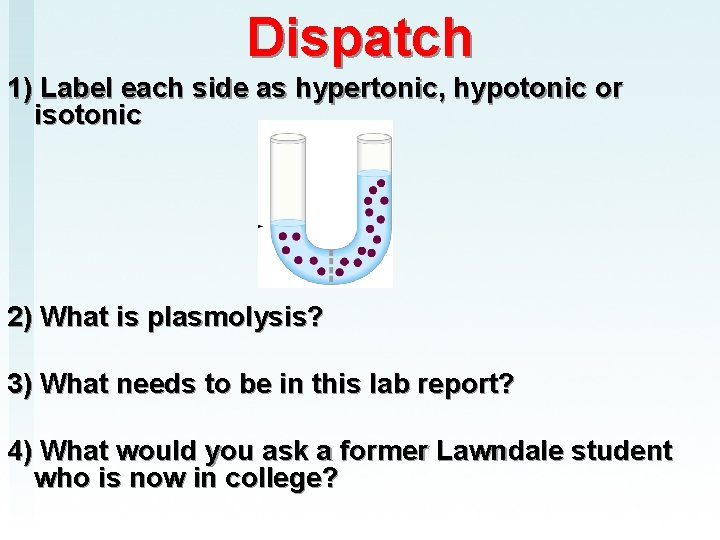 Dispatch 1) Label each side as hypertonic, hypotonic or isotonic 2) What is plasmolysis?