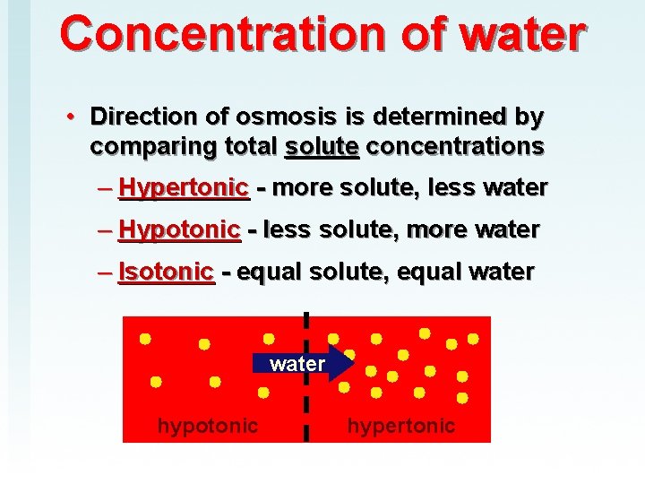 Concentration of water • Direction of osmosis is determined by comparing total solute concentrations