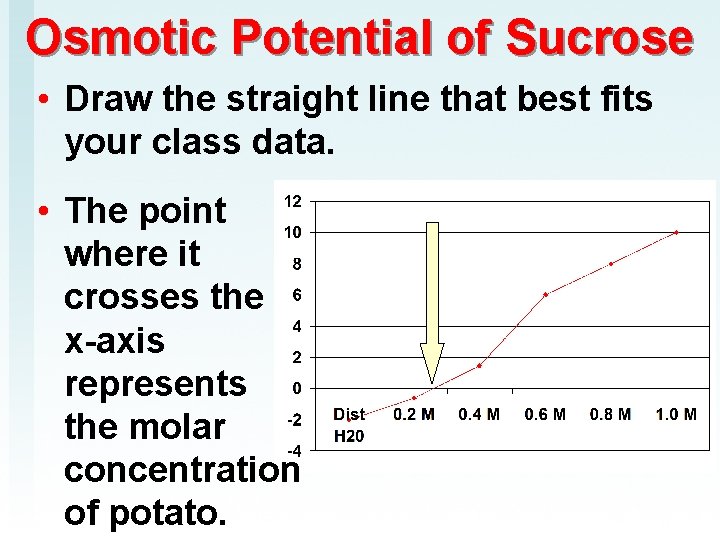 Osmotic Potential of Sucrose • Draw the straight line that best fits your class