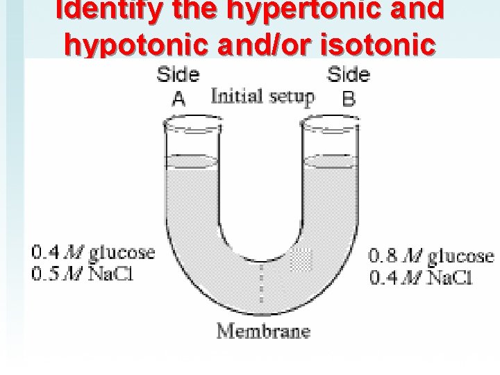 Identify the hypertonic and hypotonic and/or isotonic 