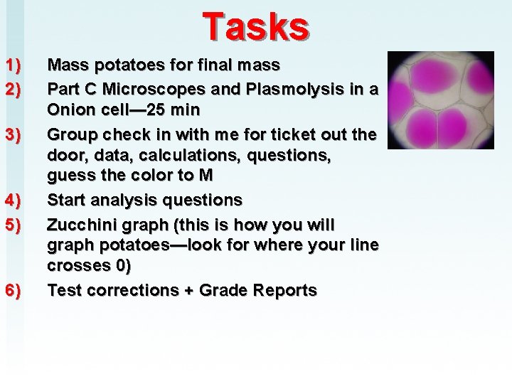 Tasks 1) 2) 3) 4) 5) 6) Mass potatoes for final mass Part C