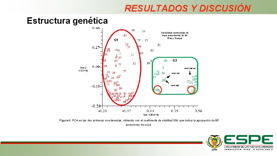 RESULTADOS Y DISCUSIÓN Estructura genética Variedades comerciales de soya provenientes de los Ríos y