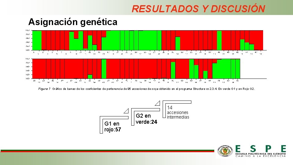 RESULTADOS Y DISCUSIÓN Asignación genética Figura 7 Gráfico de barras de los coeficientes de