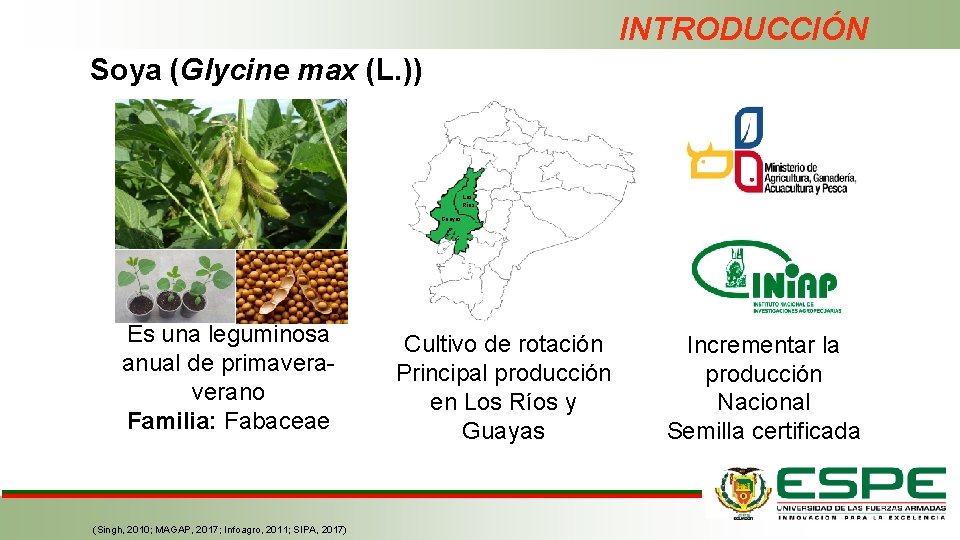 INTRODUCCIÓN Soya (Glycine max (L. )) Los Ríos Guayas Es una leguminosa anual de