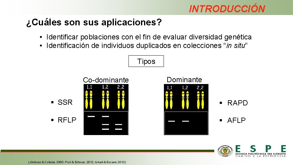 INTRODUCCIÓN ¿Cuáles son sus aplicaciones? • Identificar poblaciones con el fin de evaluar diversidad