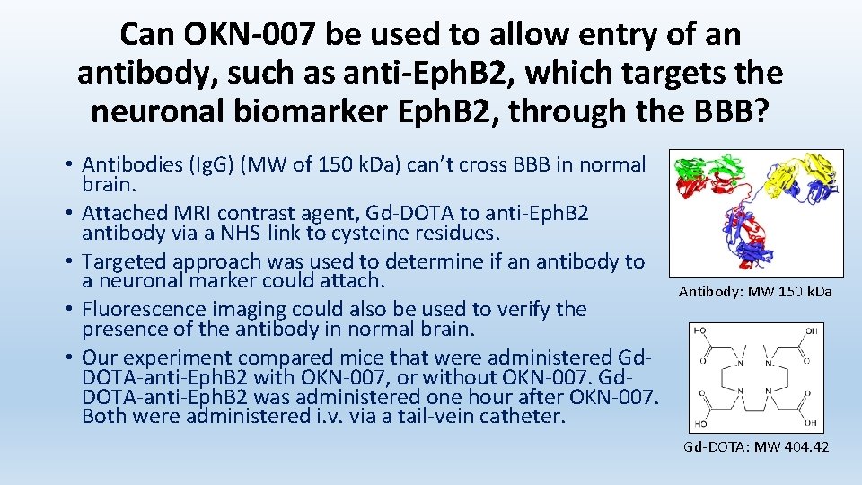 Can OKN-007 be used to allow entry of an antibody, such as anti-Eph. B Can OKN-007 be used to allow entry of an antibody, such as anti-Eph. B