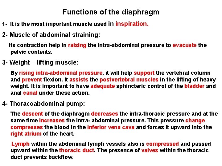 Functions of the diaphragm 1 - It is the most important muscle used in