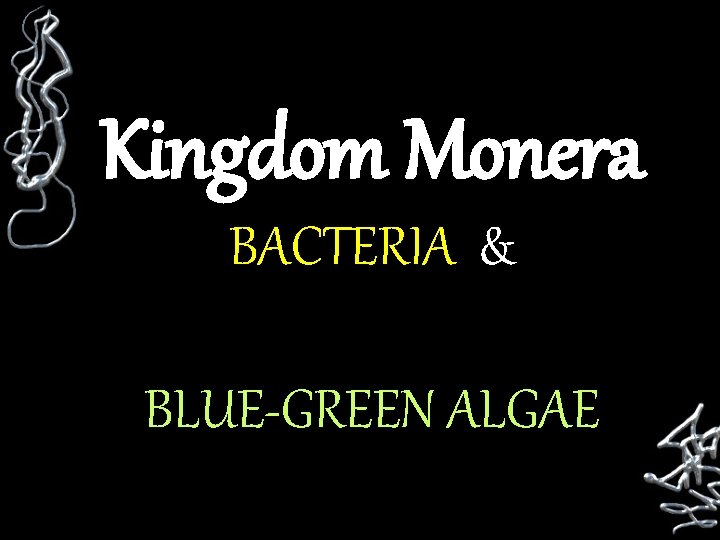 Kingdom Monera BACTERIA & BLUE-GREEN ALGAE 
