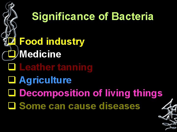 Significance of Bacteria q Food industry q Medicine q Leather tanning q Agriculture q