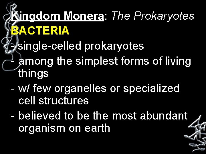 Kingdom Monera: The Prokaryotes BACTERIA - single-celled prokaryotes - among the simplest forms of