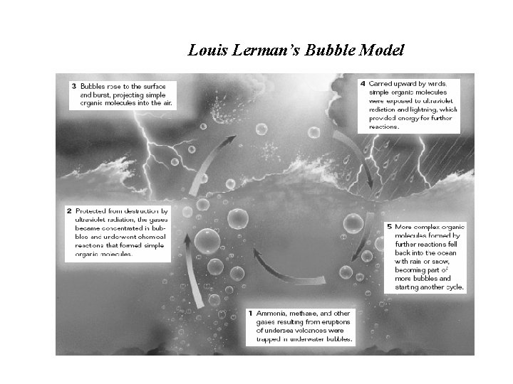 Louis Lerman’s Bubble Model 