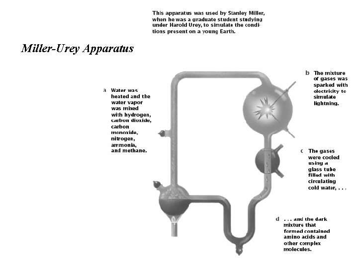 Miller-Urey Apparatus 