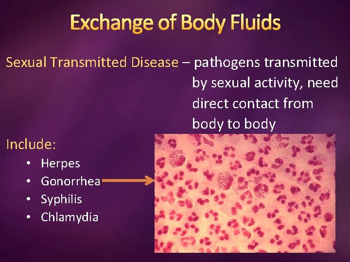 Exchange of Body Fluids Sexual Transmitted Disease – pathogens transmitted by sexual activity, need