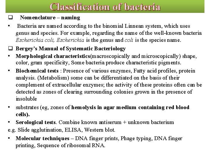 Classification of bacteria q Nomenclature – naming • Bacteria are named according to the