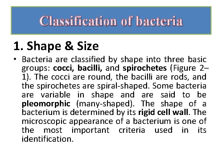 Classification of bacteria 1. Shape & Size • Bacteria are classified by shape into