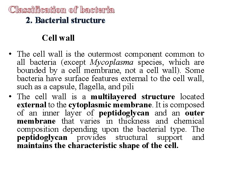 Classification of bacteria 2. Bacterial structure Cell wall • The cell wall is the