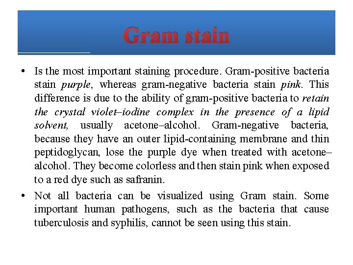 Gram stain • Is the most important staining procedure. Gram-positive bacteria stain purple, whereas