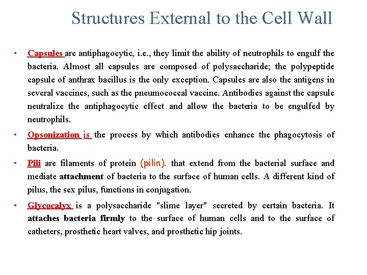 Structures External to the Cell Wall • Capsules are antiphagocytic, i. e. , they