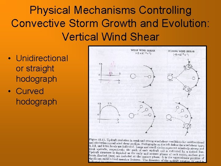 Physical Mechanisms Controlling Convective Storm Growth and Evolution: Vertical Wind Shear • Unidirectional or