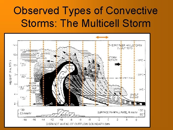 Observed Types of Convective Storms: The Multicell Storm 