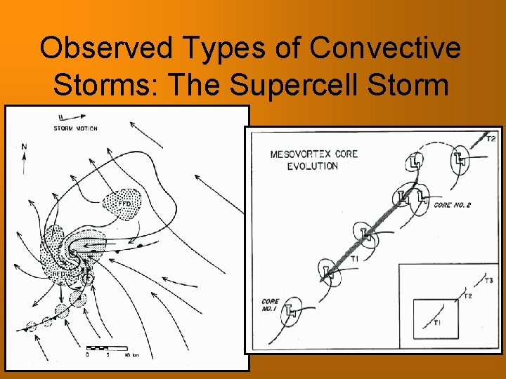 Observed Types of Convective Storms: The Supercell Storm 