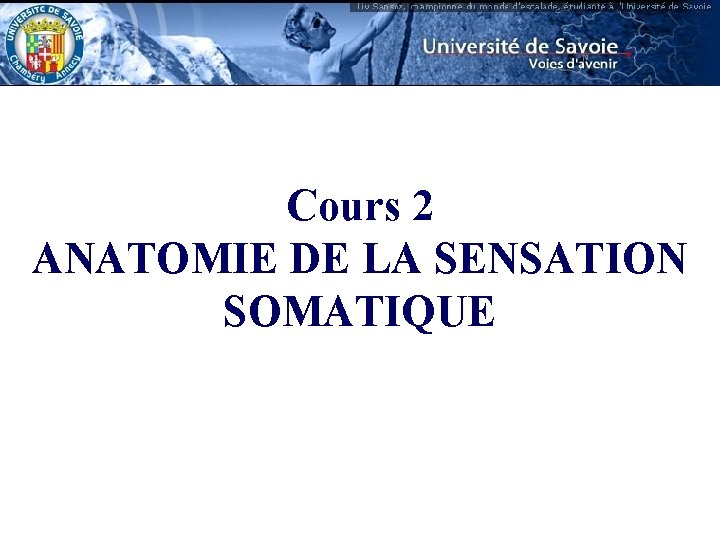 Cours 2 ANATOMIE DE LA SENSATION SOMATIQUE 