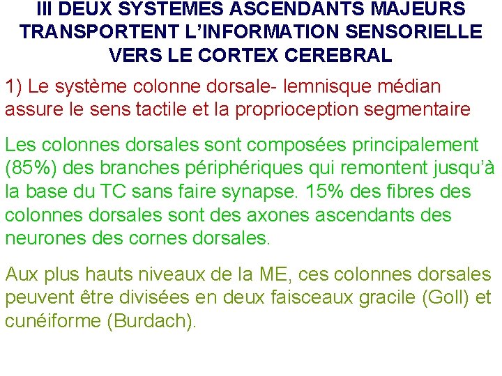 III DEUX SYSTEMES ASCENDANTS MAJEURS TRANSPORTENT L’INFORMATION SENSORIELLE VERS LE CORTEX CEREBRAL 1) Le