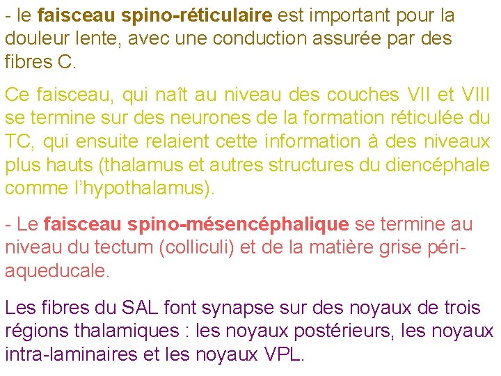 - le faisceau spino-réticulaire est important pour la douleur lente, avec une conduction assurée