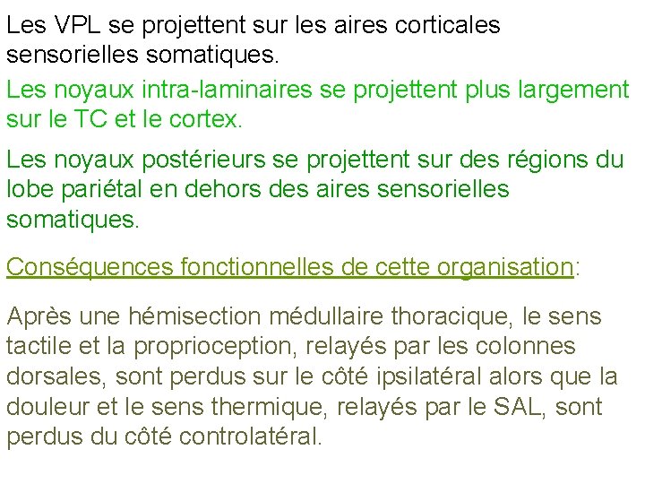 Les VPL se projettent sur les aires corticales sensorielles somatiques. Les noyaux intra-laminaires se