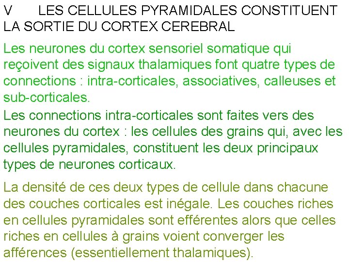 V LES CELLULES PYRAMIDALES CONSTITUENT LA SORTIE DU CORTEX CEREBRAL Les neurones du cortex