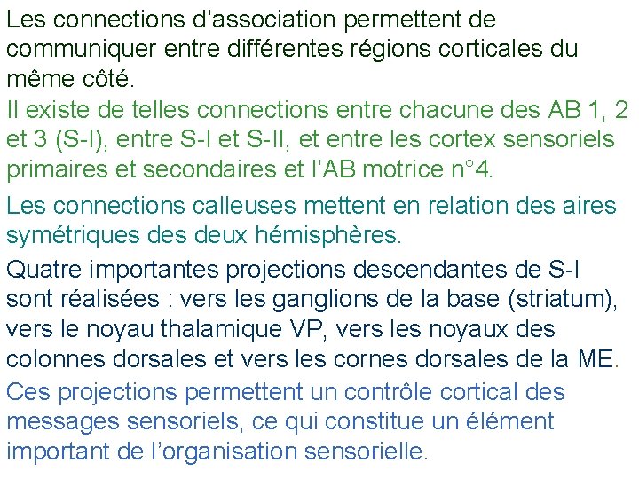 Les connections d’association permettent de communiquer entre différentes régions corticales du même côté. Il