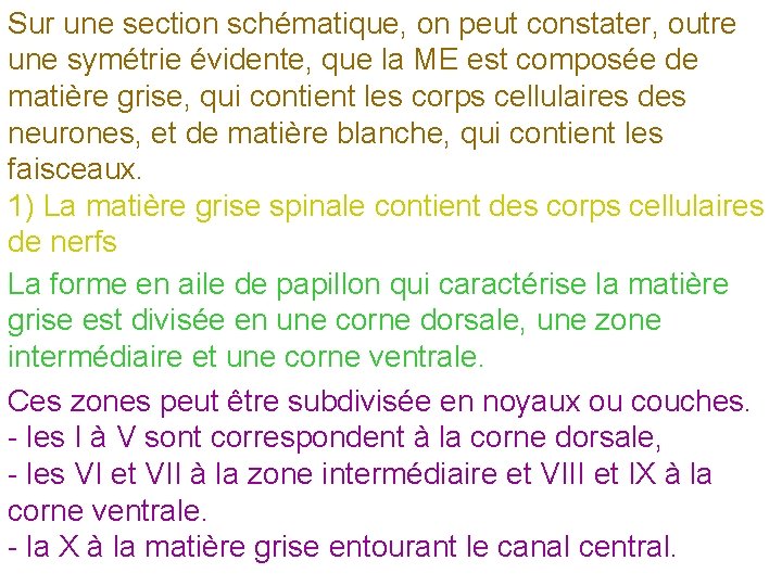 Sur une section schématique, on peut constater, outre une symétrie évidente, que la ME