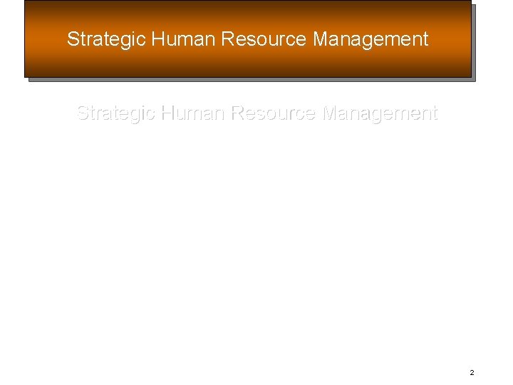 Strategic Human Resource Management 2 