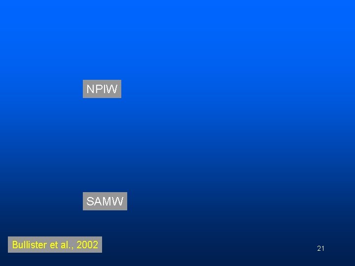 NPIW SAMW Bullister et al. , 2002 21 