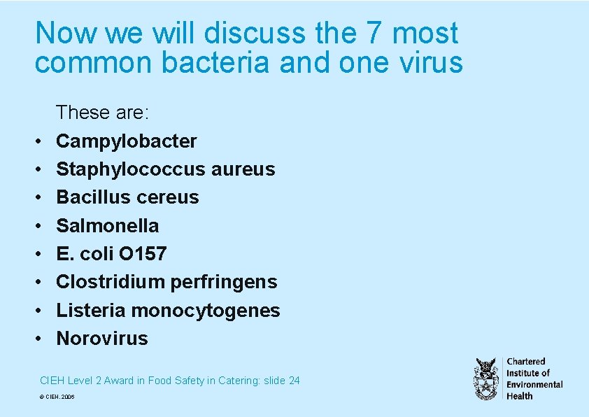 Now we will discuss the 7 most common bacteria and one virus • •