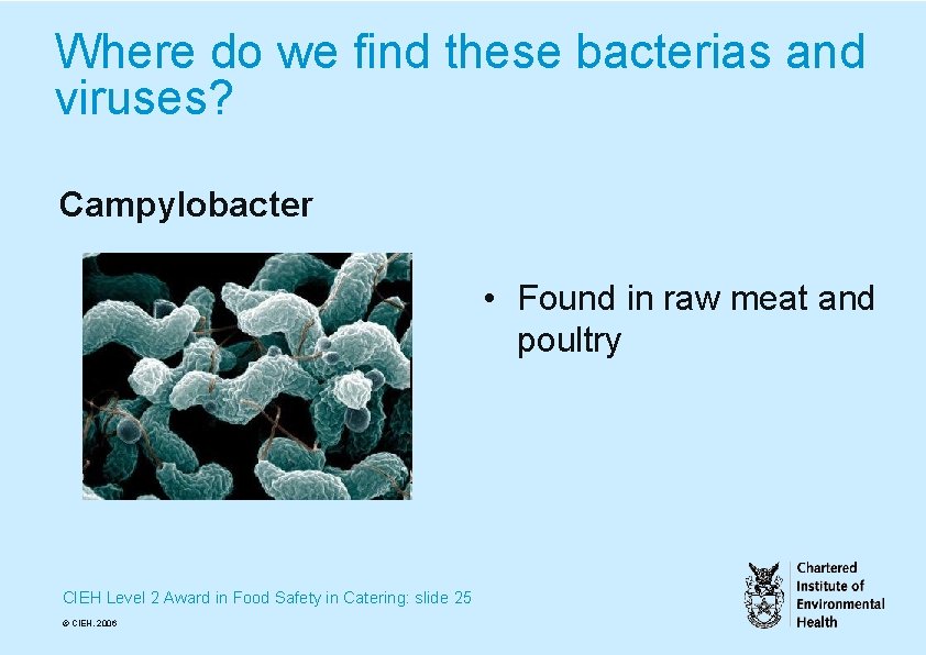 Where do we find these bacterias and viruses? Campylobacter • Found in raw meat